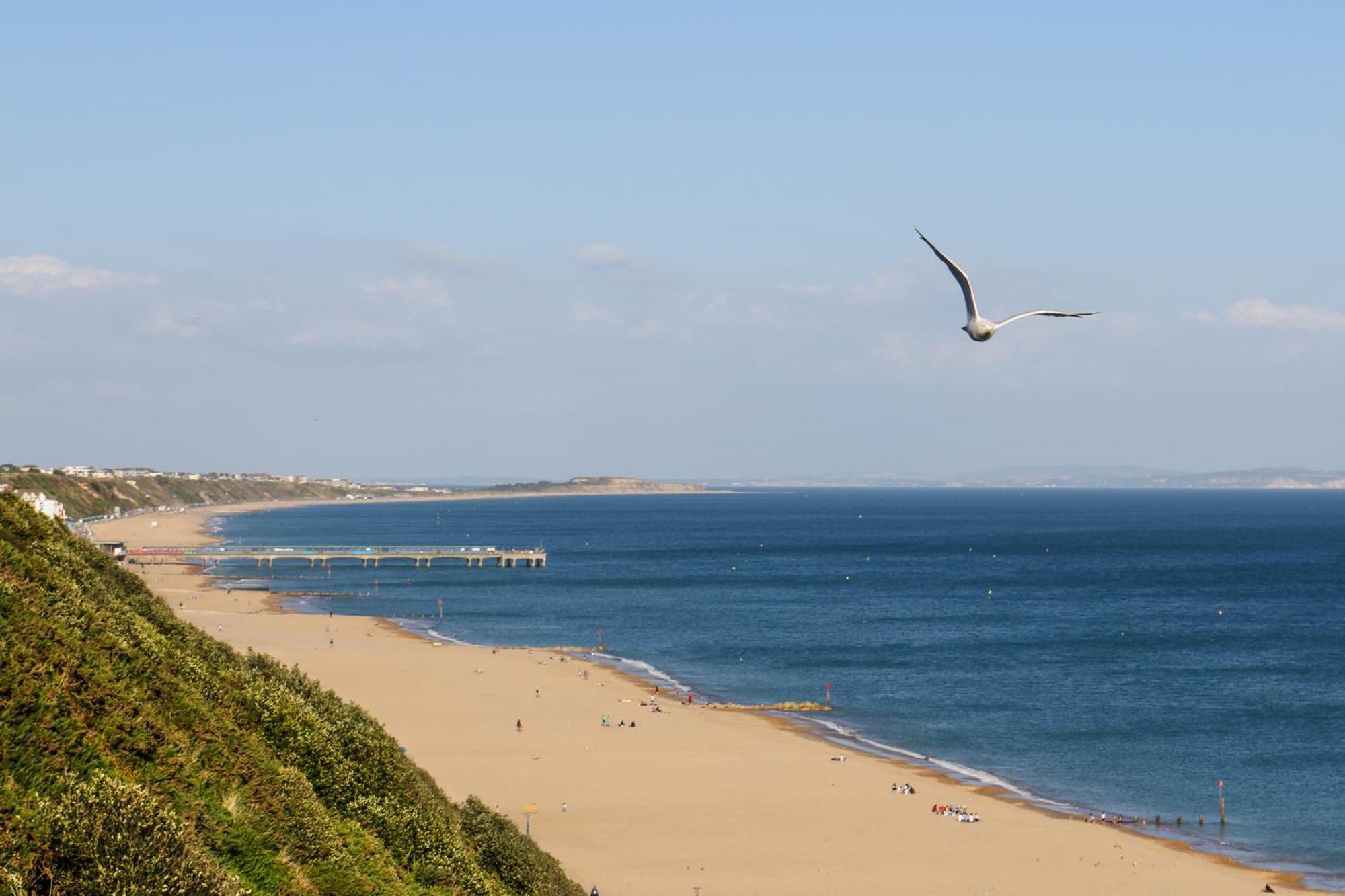 Modern Town Centre Flat - Free Shared Parking, King Size Bed, 5 Minutes Walk To Beach Bournemouth Exteriér fotografie